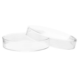 CAJA PETRI 120X20MM DE VIDRIO CON TAPA EISCO