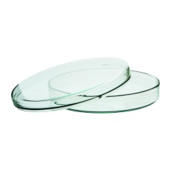 CAJA PETRI 150X20MM DE VIDRIO BOROSILICATO CON TAPA EISCO