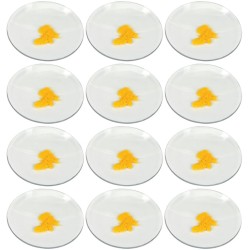 VIDRIO DE RELOJ 150MM DE DIÁMETRO CON BORDES PULIDOS EISCO