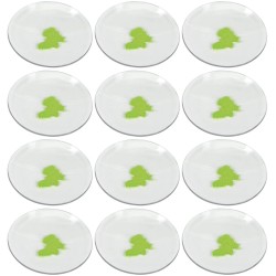 VIDRIO DE RELOJ 75MM DE DIÁMETRO CON BORDES PULIDOS EISCO