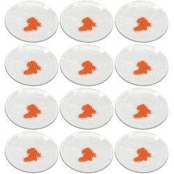 VIDRIO DE RELOJ 60MM DE DIÁMETRO CON BORDES PULIDOS EISCO