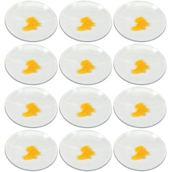 VIDRIO DE RELOJ 50MM DE DIÁMETRO CON BORDES PULIDOS EISCO